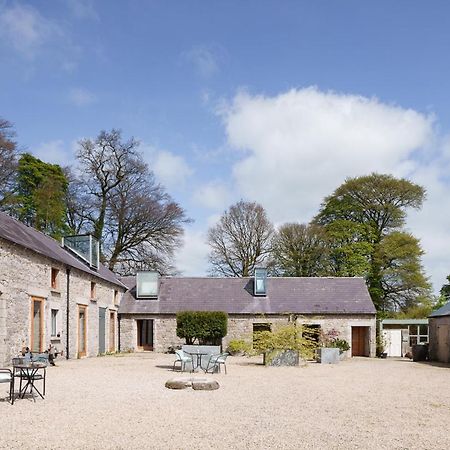 June Blake'S Garden Blessington Exteriér fotografie