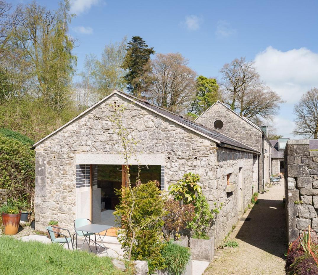 June Blake'S Garden Blessington Exteriér fotografie