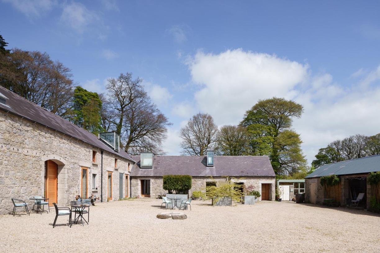 June Blake'S Garden Blessington Exteriér fotografie