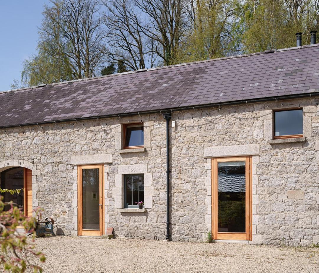 June Blake'S Garden Blessington Exteriér fotografie