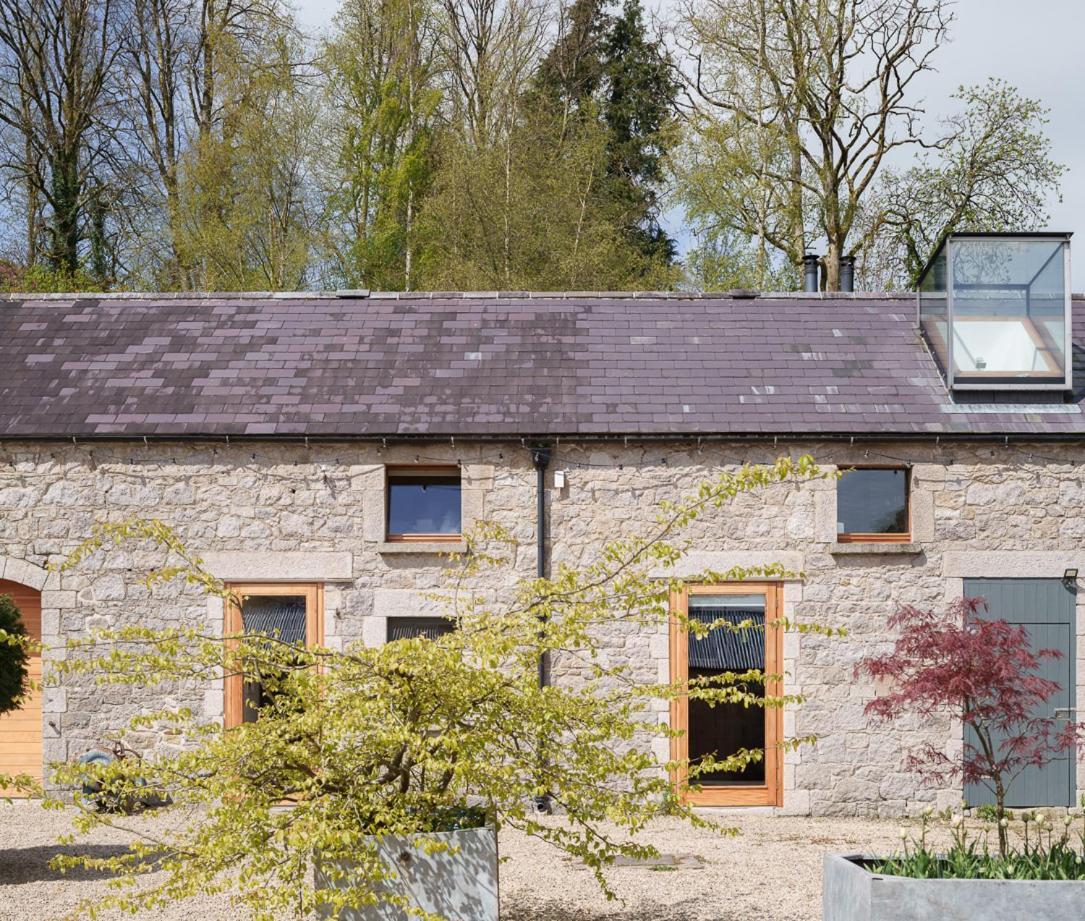 June Blake'S Garden Blessington Exteriér fotografie