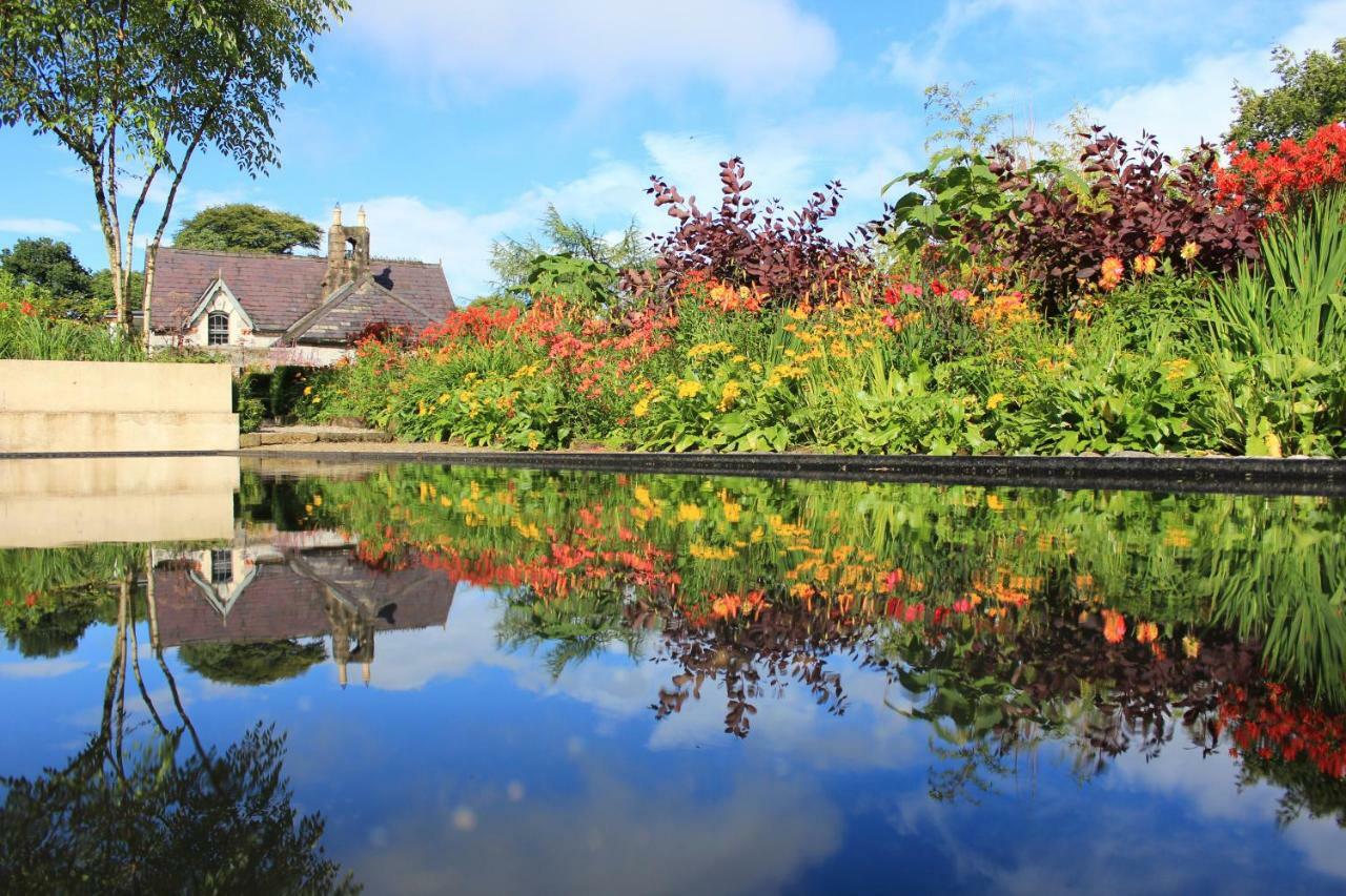 June Blake'S Garden Blessington Exteriér fotografie