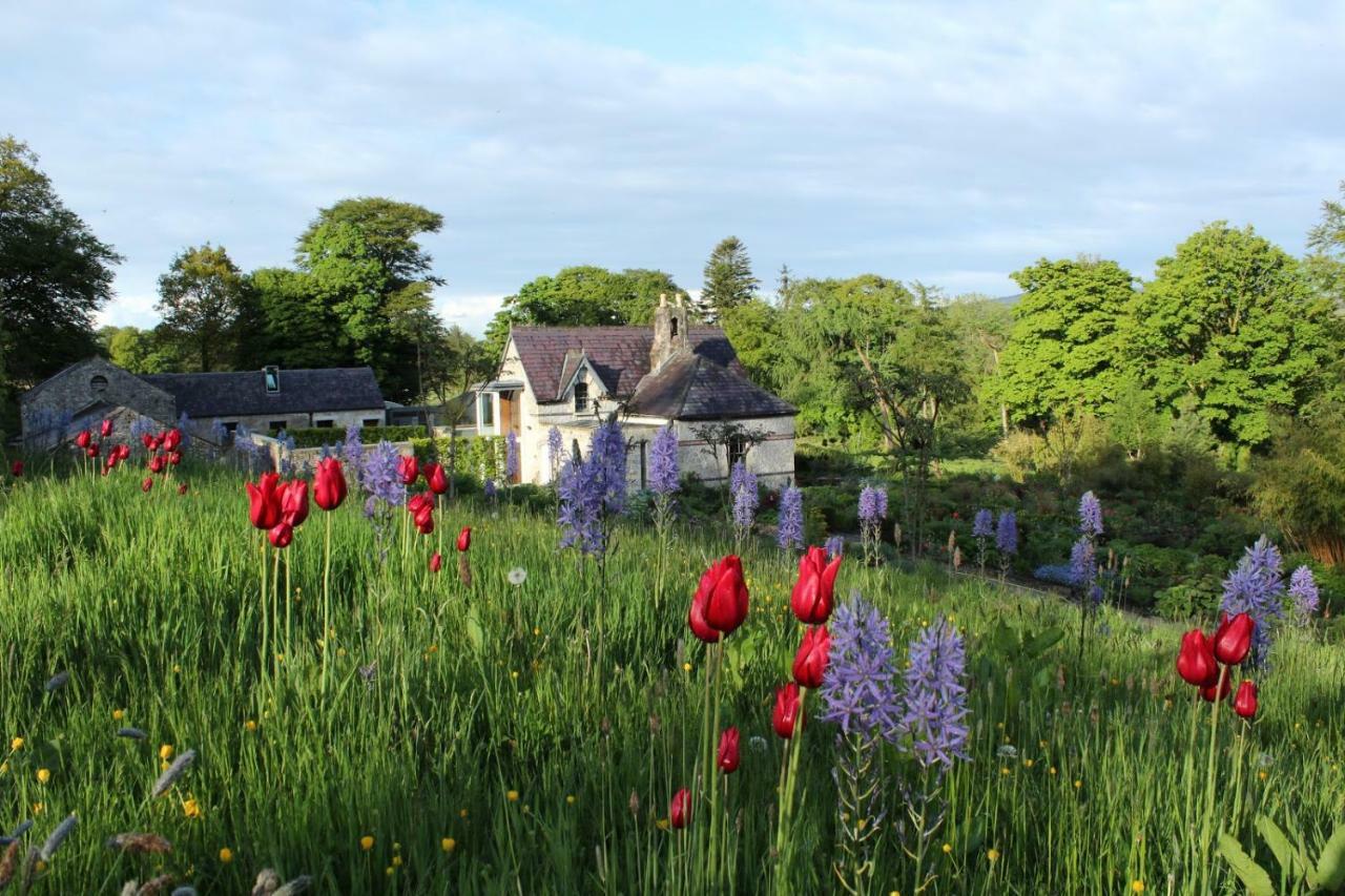 June Blake'S Garden Blessington Exteriér fotografie