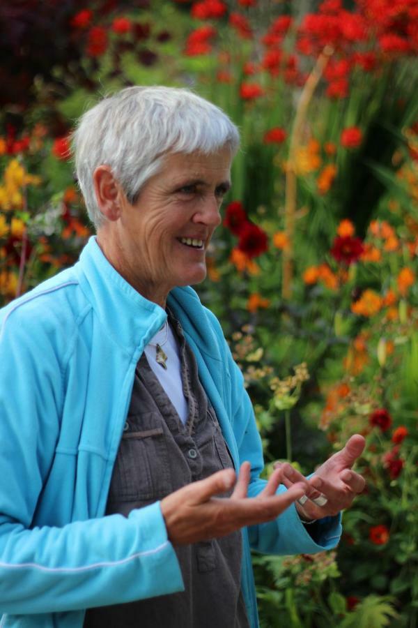 June Blake'S Garden Blessington Exteriér fotografie